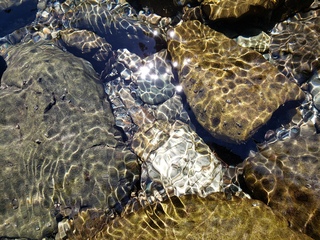 20220701_103452.jpg