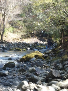 20250406_094700524@F.JPG