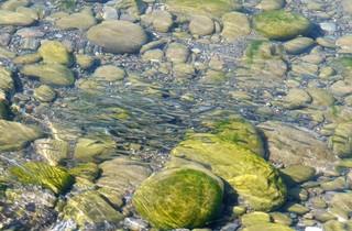 DSC04287 河口.jpg