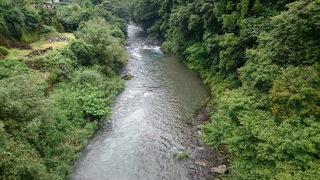 DSC_0125.JPG