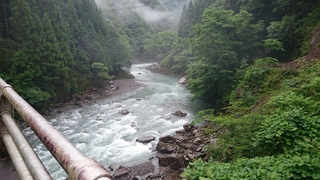 DSC_0138.JPG