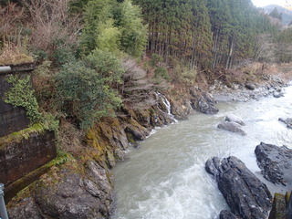 南池 (2).JPG