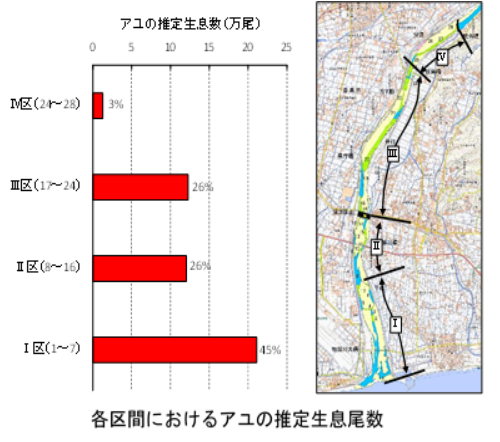 各区間におけるアユの推定生息尾数.png