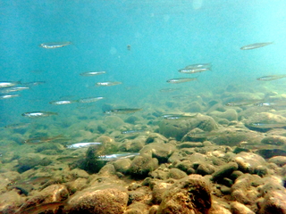 F2240023.JPG