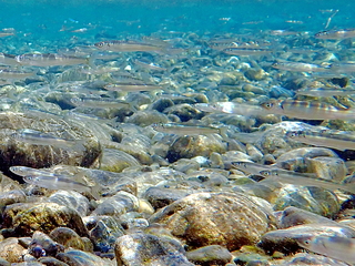 F3070021.JPG