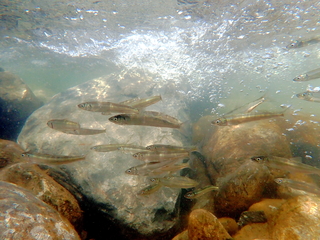 F3070073.JPG