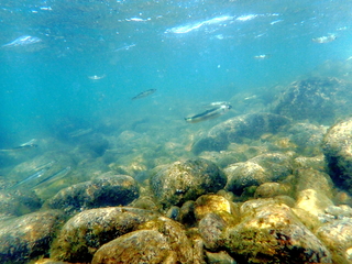 F3070092.JPG