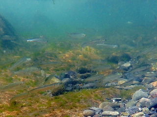 F3070098.JPG