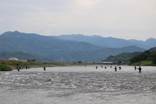 IMG_0705.JPG