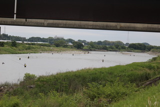 IMG_1423.JPG