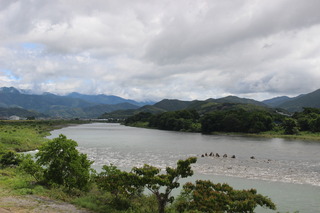 IMG_1694.JPG