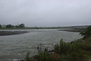 IMG_1728.JPG