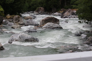 IMG_2547.JPG
