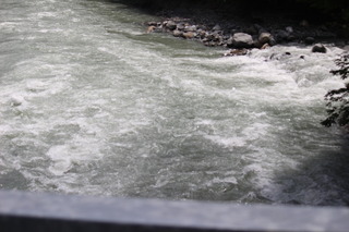 IMG_2554.JPG