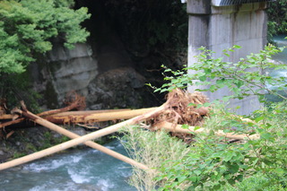 IMG_2575.JPG