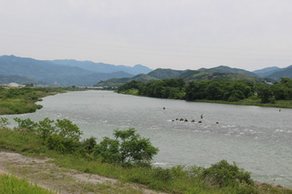 IMG_3118.JPG