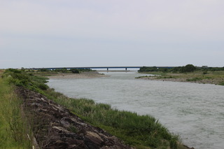 IMG_3131.JPG