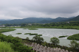 IMG_3546.JPG