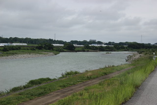 IMG_3551.JPG
