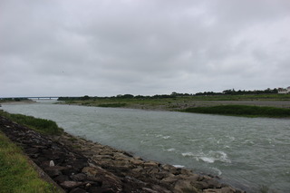 IMG_3565.JPG