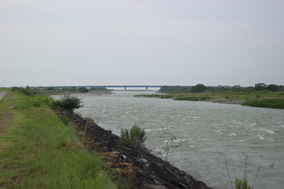IMG_3598.JPG