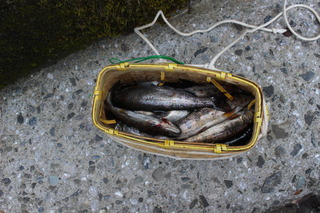 IMG_3622.JPG