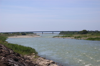 IMG_3624.JPG