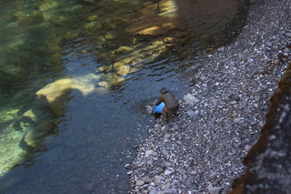 IMG_3734.JPG