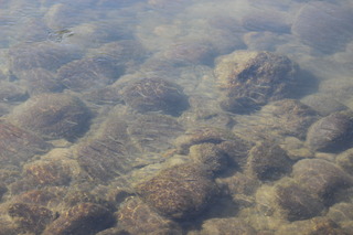 IMG_3872.JPG