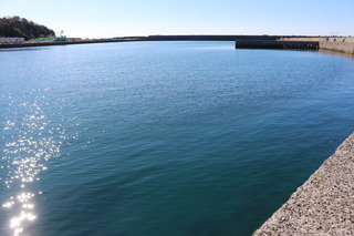 IMG_4241.JPG
