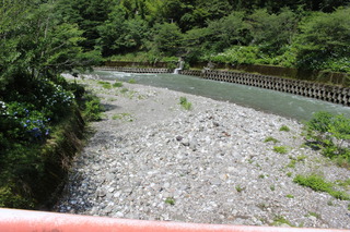 IMG_5290.JPG