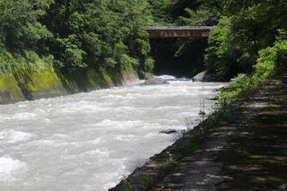 IMG_5298.JPG