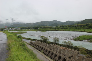 IMG_6302.JPG