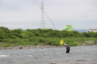 IMG_7114.JPG