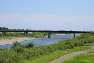 IMG_7267.JPG