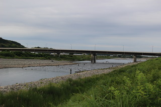 IMG_7495.JPG