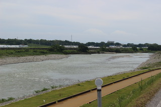 IMG_7642.JPG