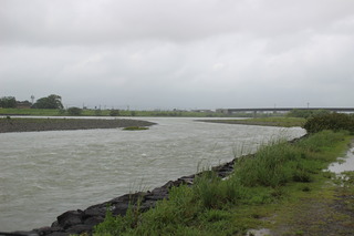 IMG_7739.JPG