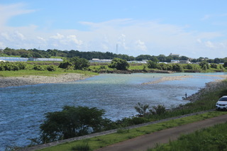 IMG_7802.JPG