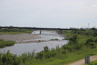 IMG_7968.JPG