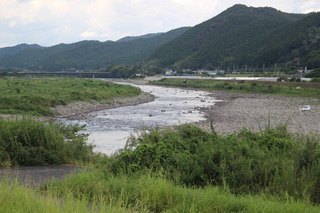 IMG_7984.JPG