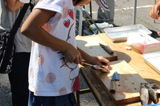IMG_8585.JPG