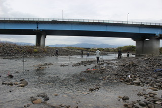 IMG_8770.JPG