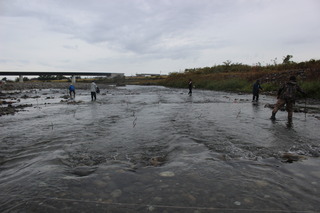IMG_8777.JPG