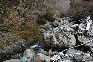 IMG_9073.JPG