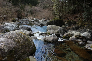 IMG_9076.JPG