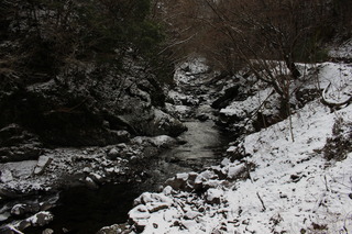 IMG_9093.JPG