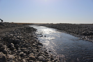 IMG_9933.JPG