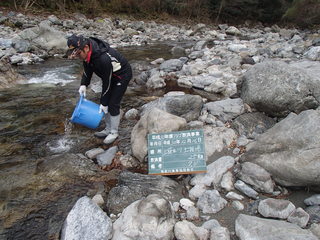 P1010060.JPG