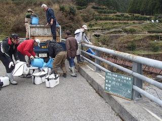 P1010068.JPG